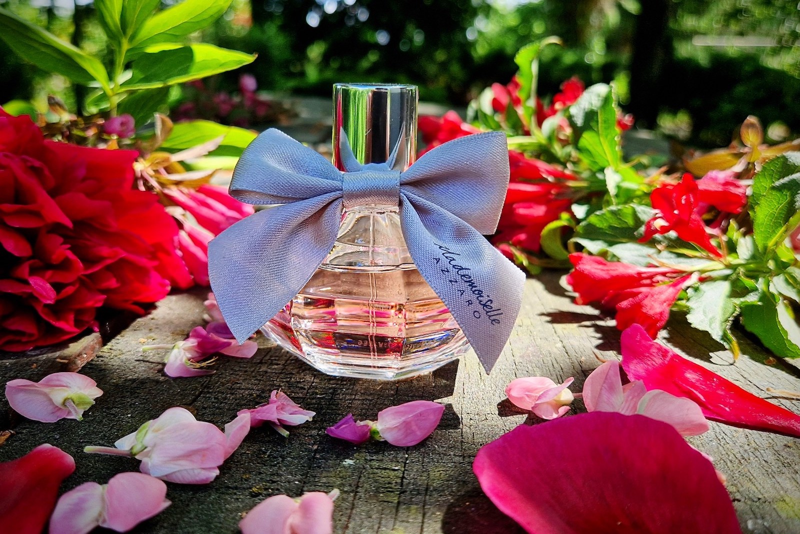 Azzaro outlet mademoiselle review