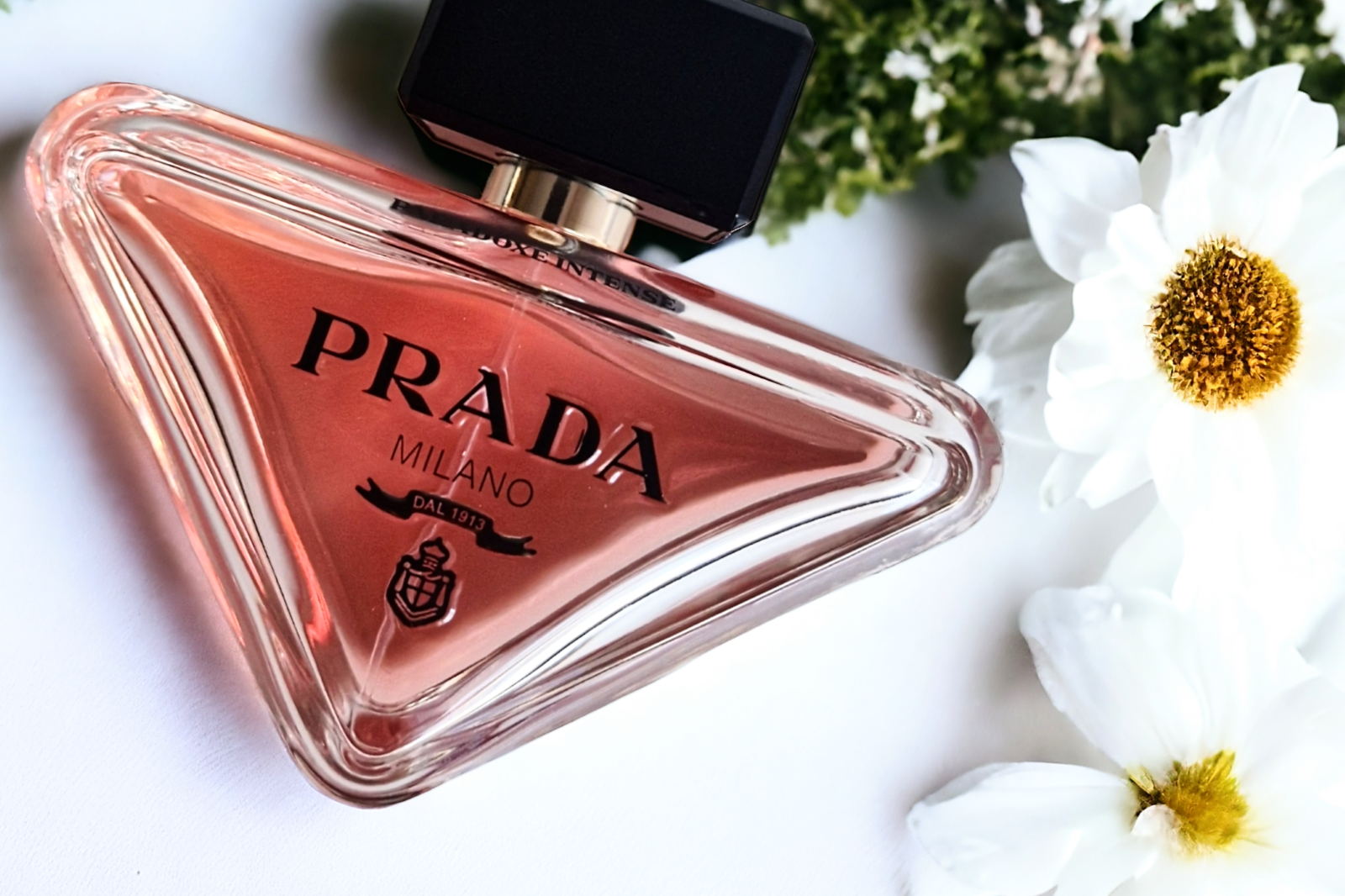 Prada Paradoxe Intense