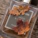 Allvernum Tobacco & Amber