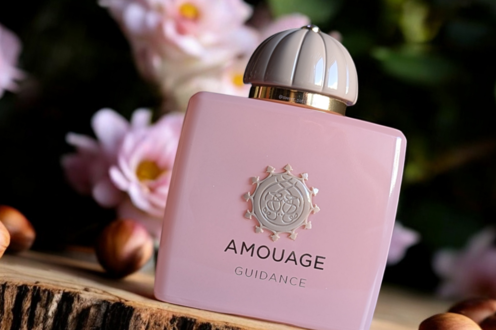 Amouage Guidance