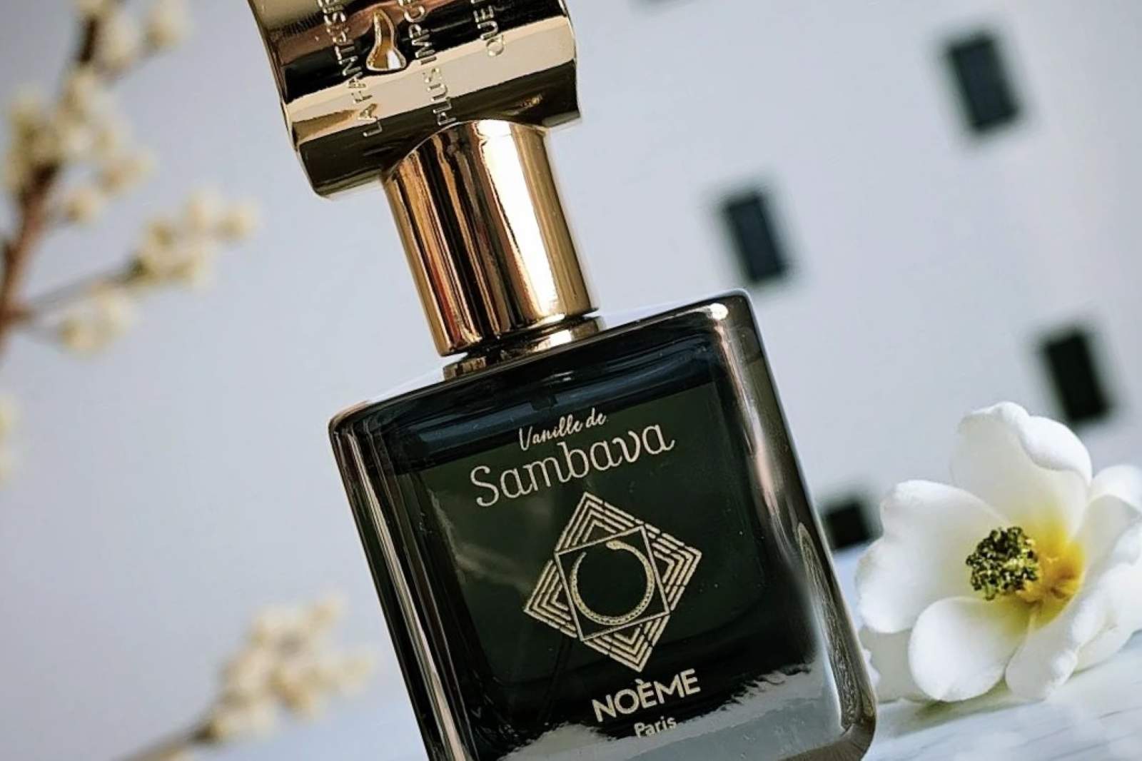 Noeme Vanille de Sambava