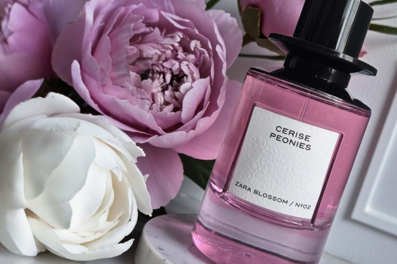 Zara Cerise Peonies