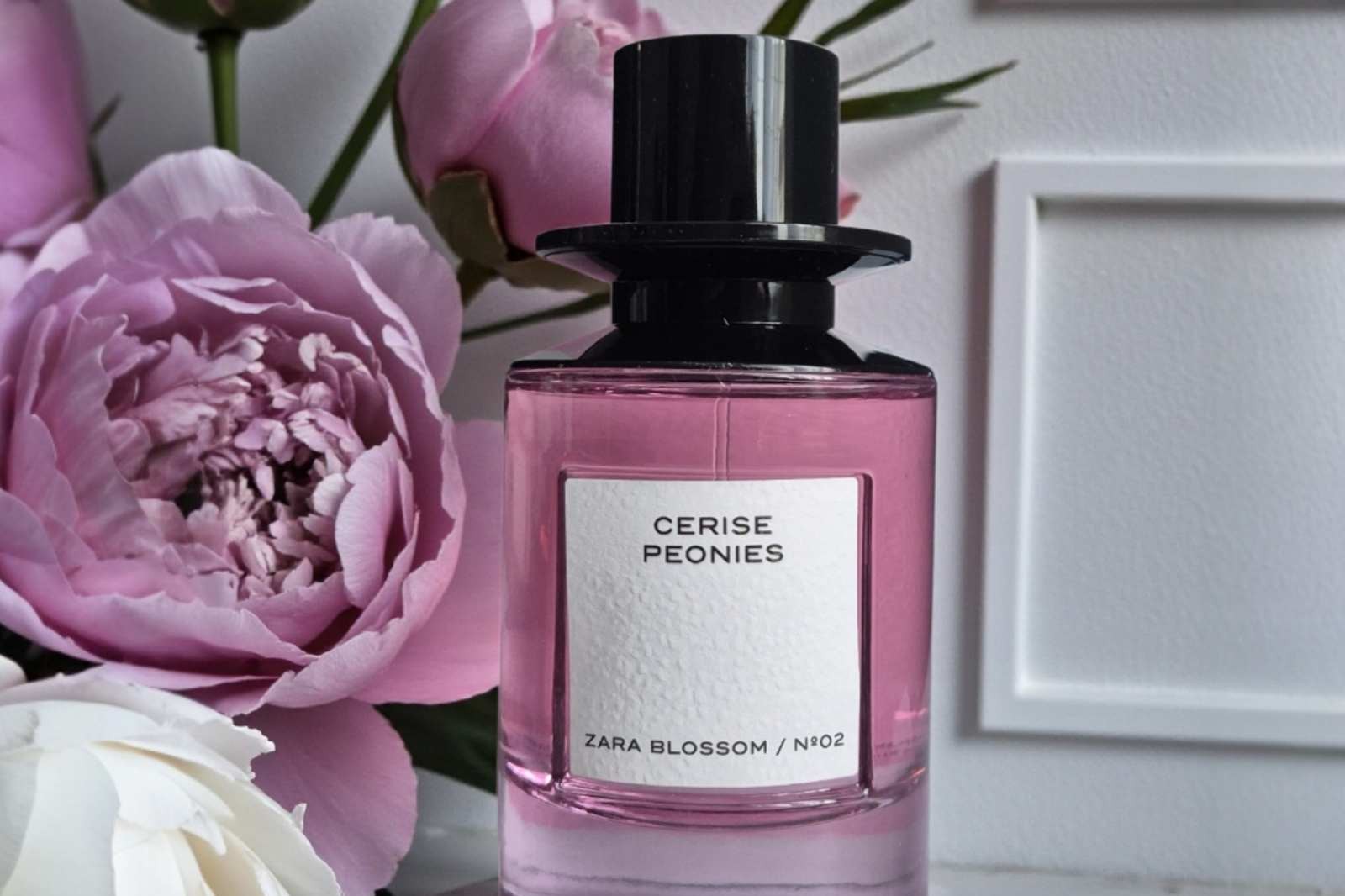 Zara Cerise Peonies