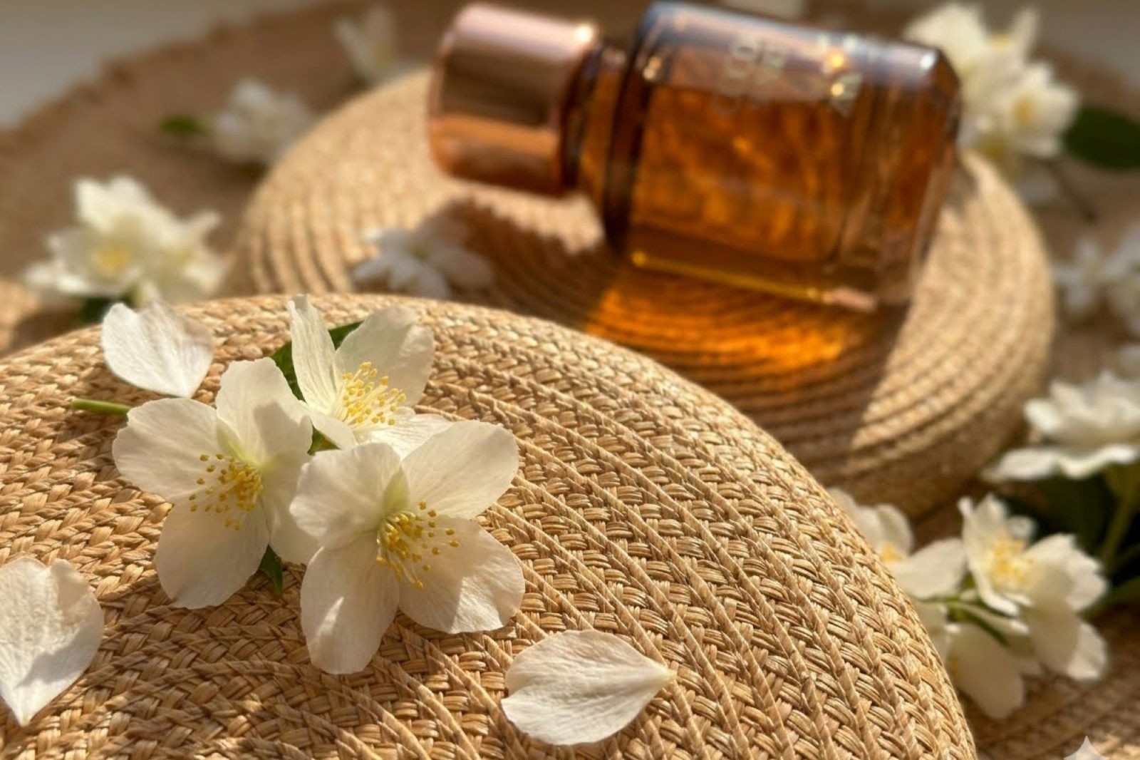 Zara Cocoa Sunset in Miami