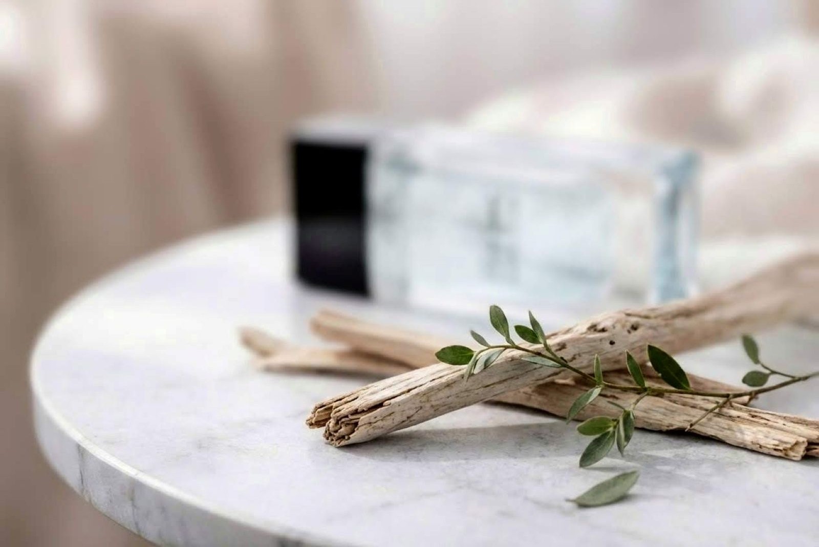 Zara Striped Chemise