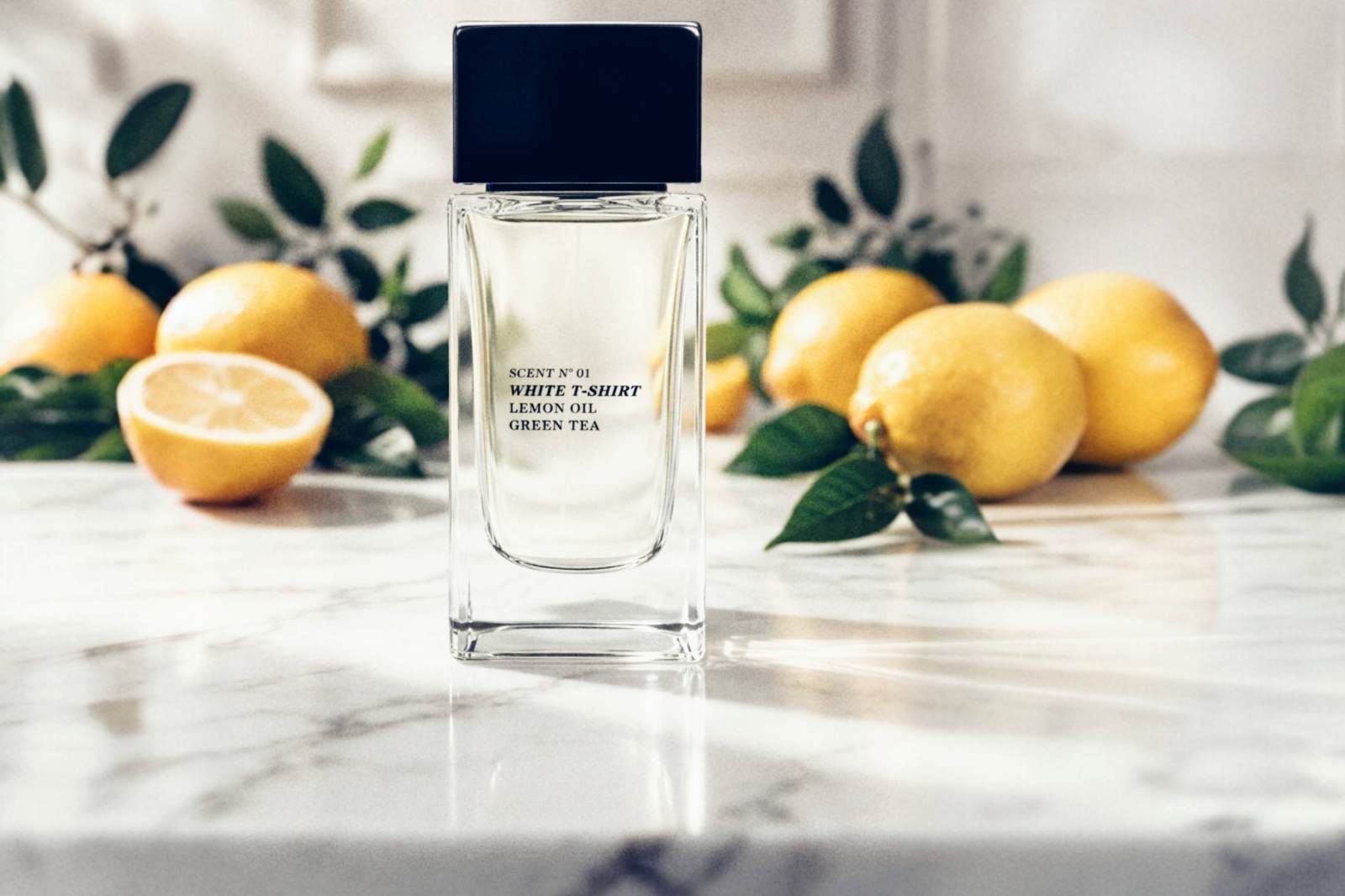 Zara White T-Shirt No1