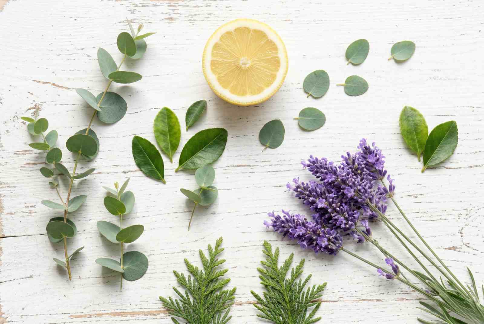 S. Oliver United Men