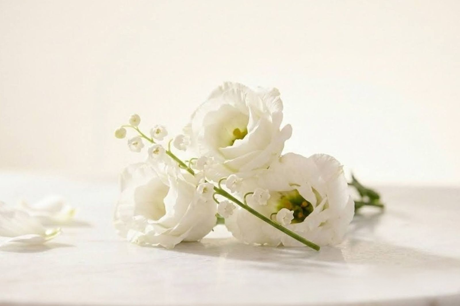 s. Oliver United Women