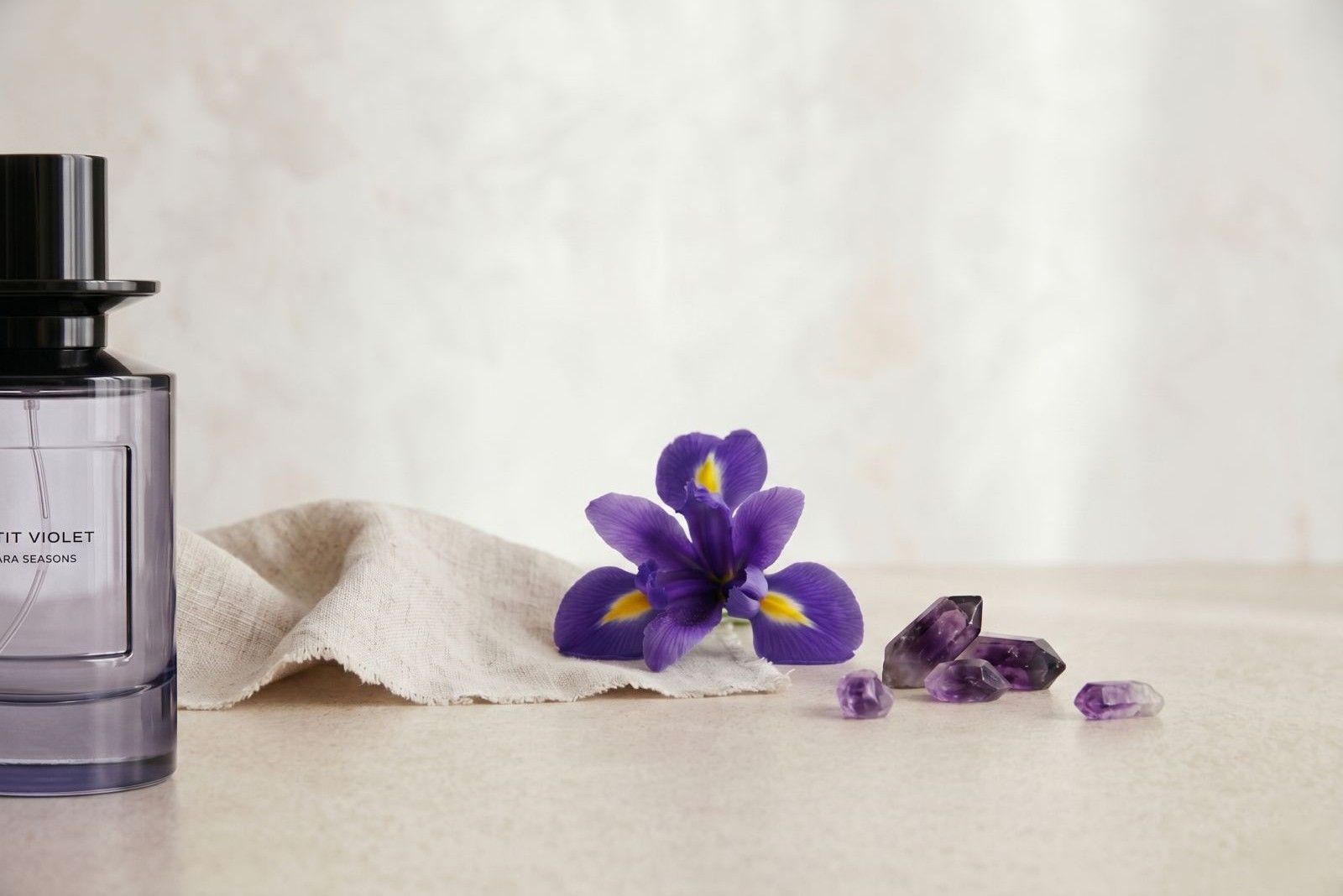 Zara Petit Violet
