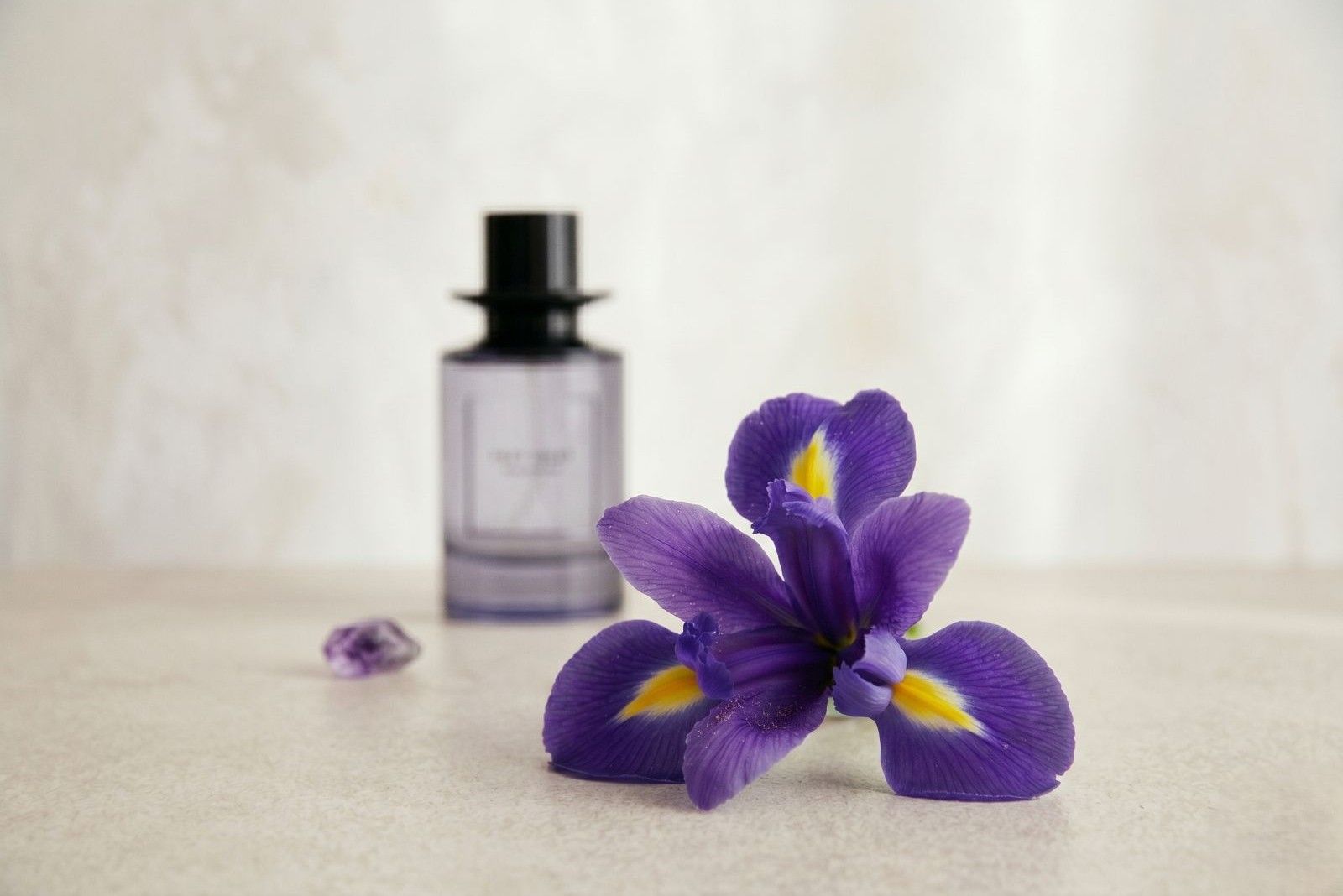 Zara Petit Violet