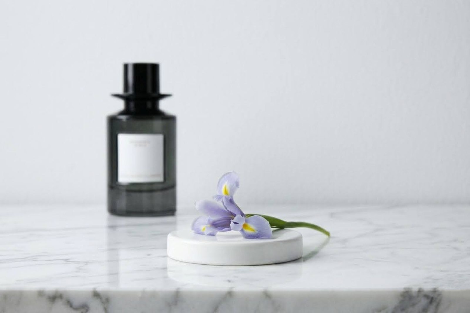 Zara Romance D'Iris