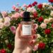 Zara Rose Petal Drops