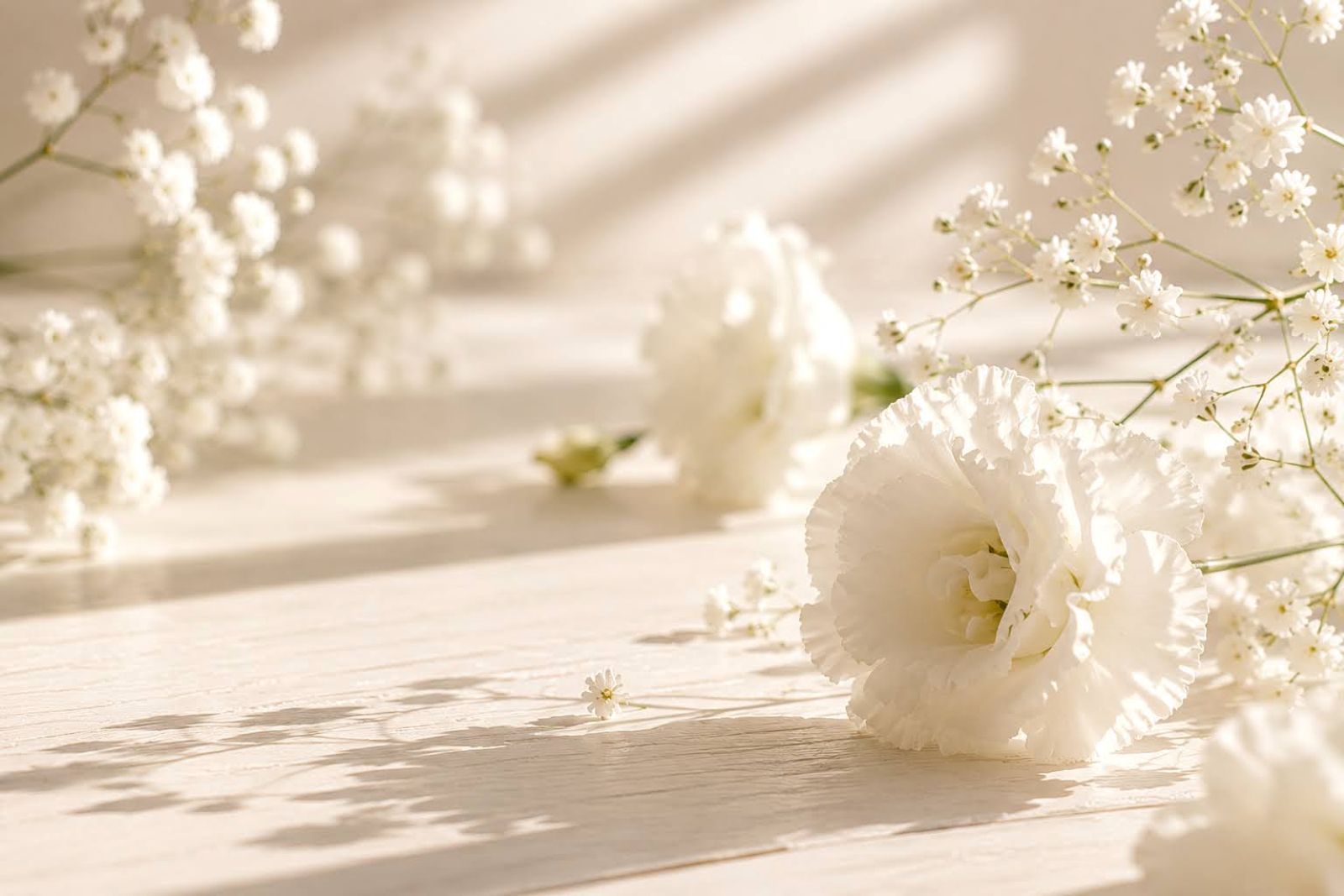 Zara Women in White