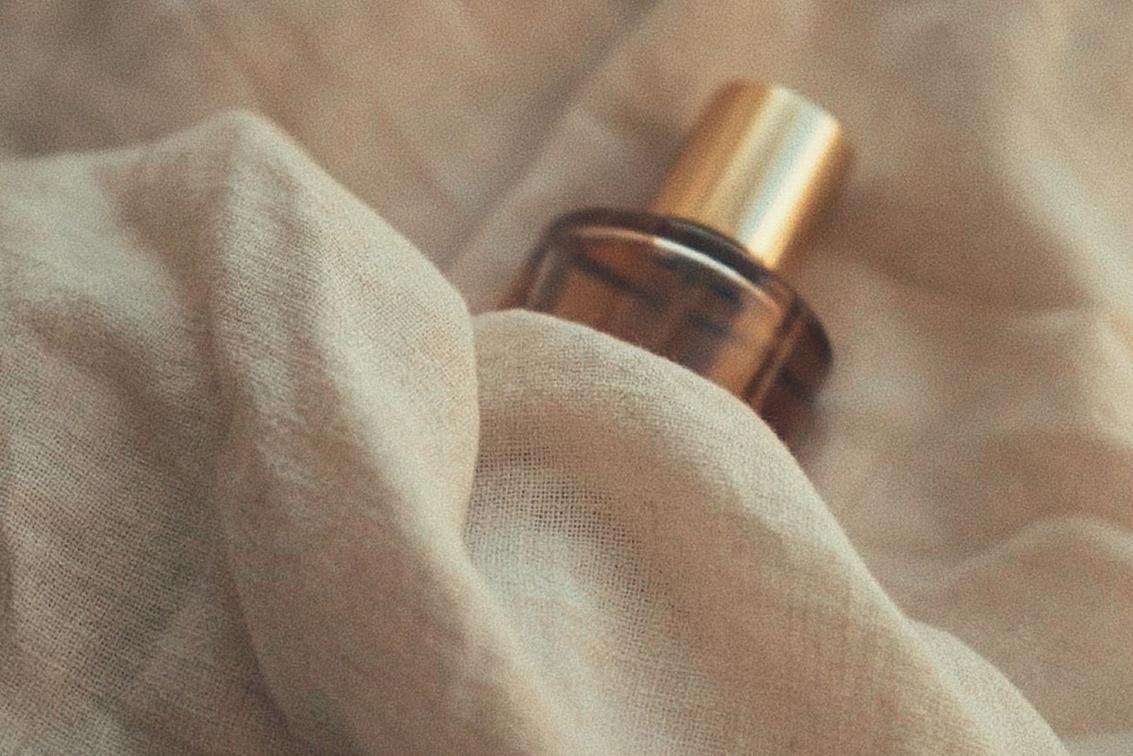 Zara Hypnotic Vanilla Elixir