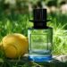 Zara Lychee & Lemongrass