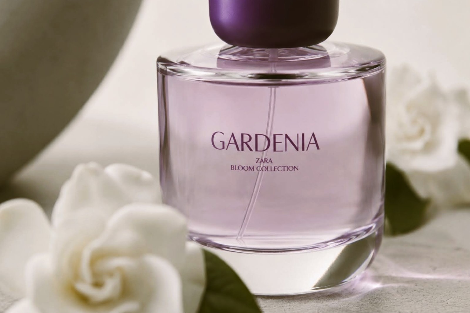 Zara Gardenia