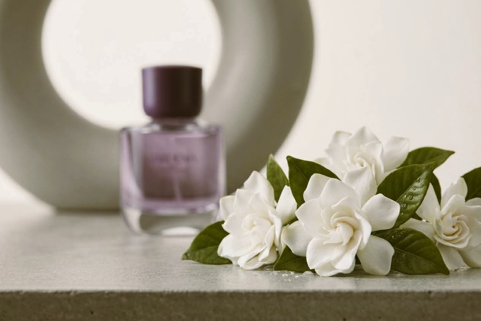 Zara Gardenia