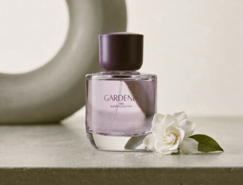 Zara Gardenia