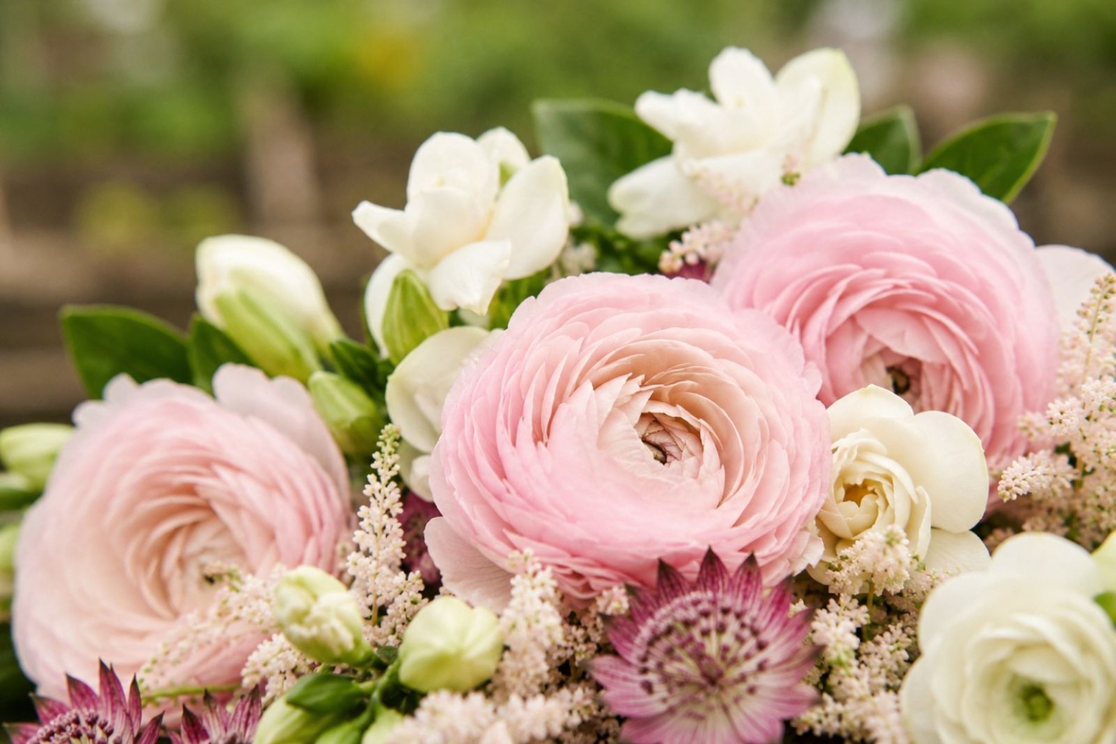 Zara Nude Bouquet 2023