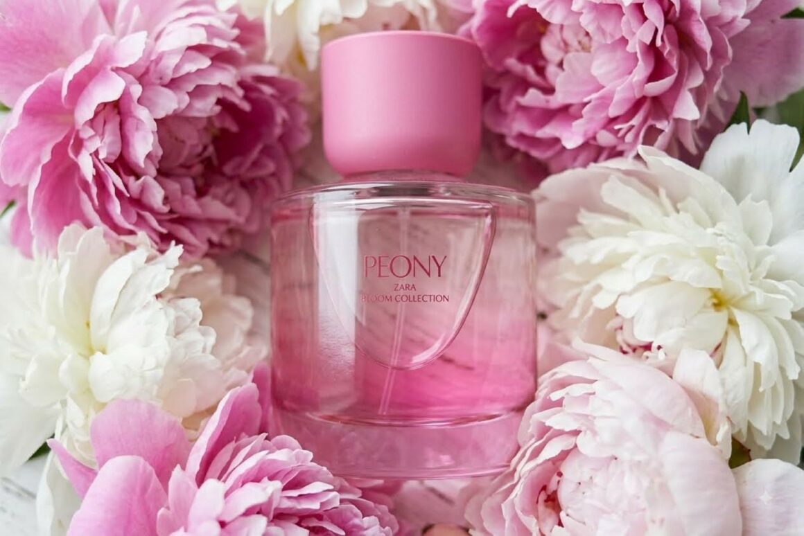 Zara Peony