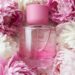 Zara Peony