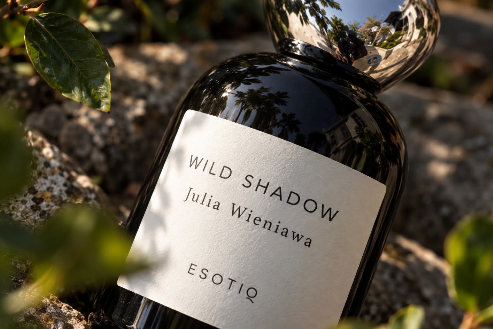 Julia Wieniawa Wild Shadow