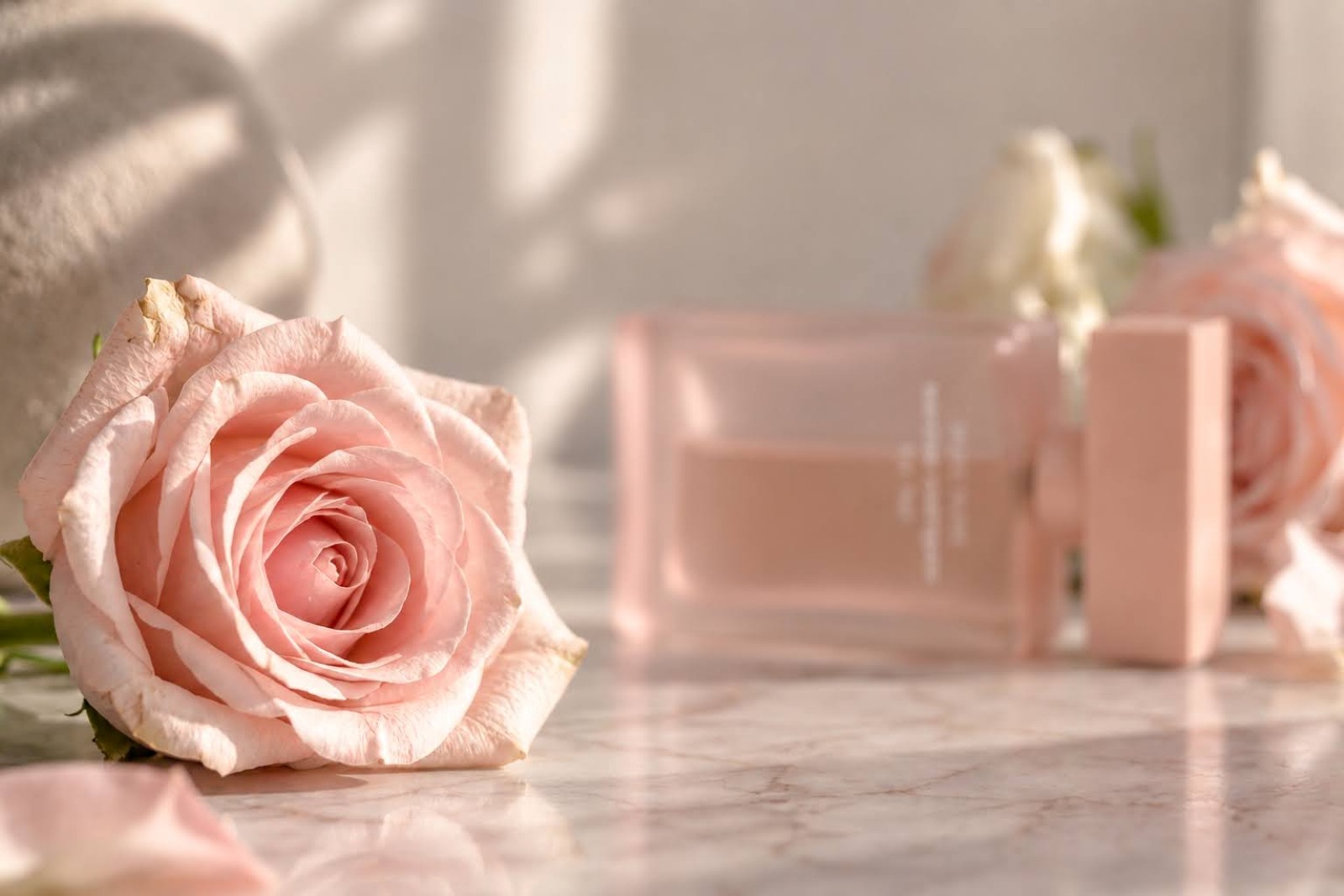 Narciso Rodriguez Musc Nude for her