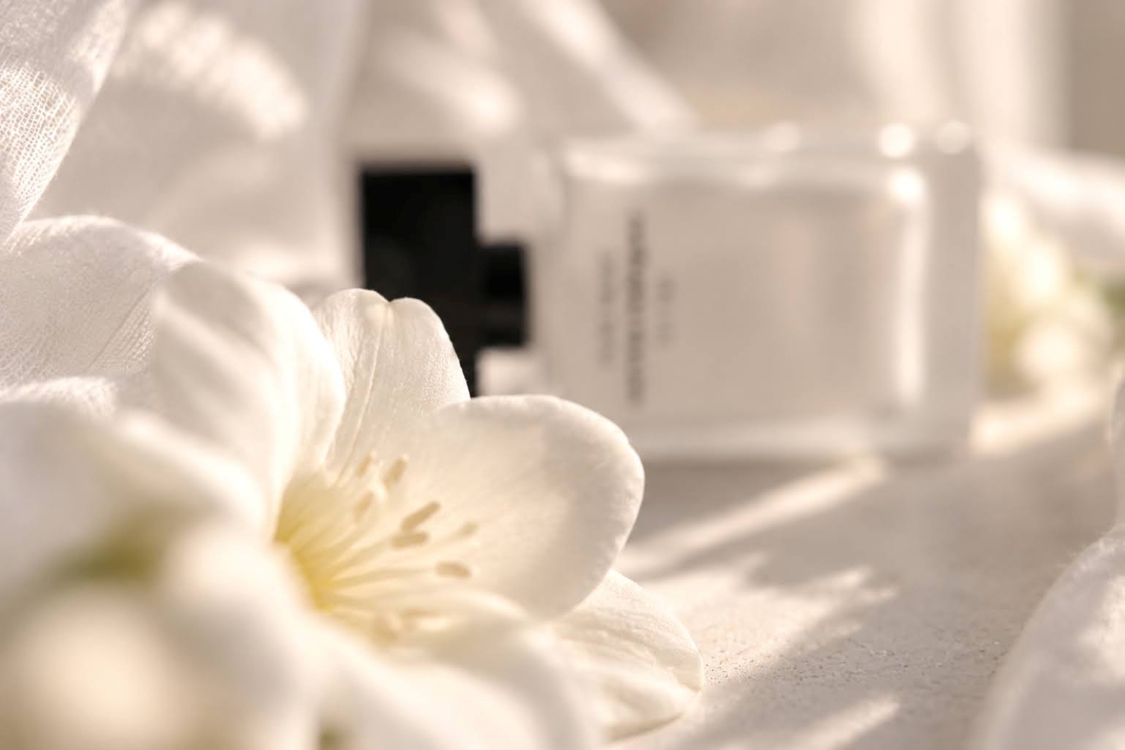 Narciso Rodriguez Pure Musc for her
