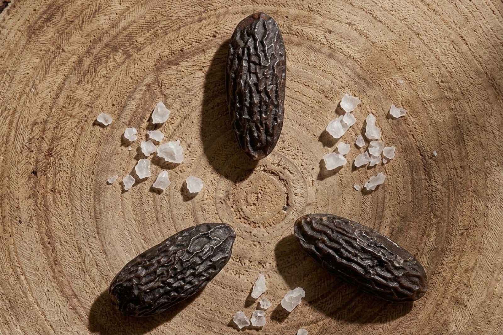 Zara Salted Tonka